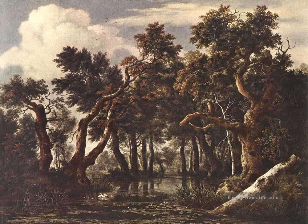 Die Marsh in einem Wald Jacob Isaakszoon van Ruisdael Ölgemälde